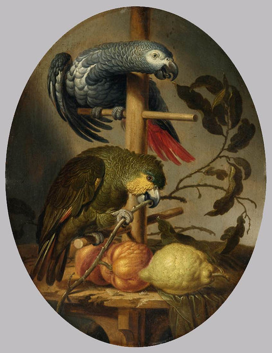 Parrots, vintage artwork by Jacob-Fransz van der Merck, 12x8" (A4) Poster