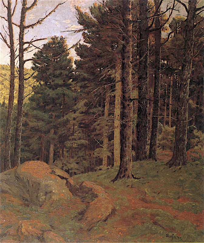 Dusk Amidst the Pines by Ben Foster,A3(16x12")Poster