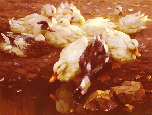 Ducks in the pond, vintage artwork by Alexander Koester, 12x8" (A4) Poster