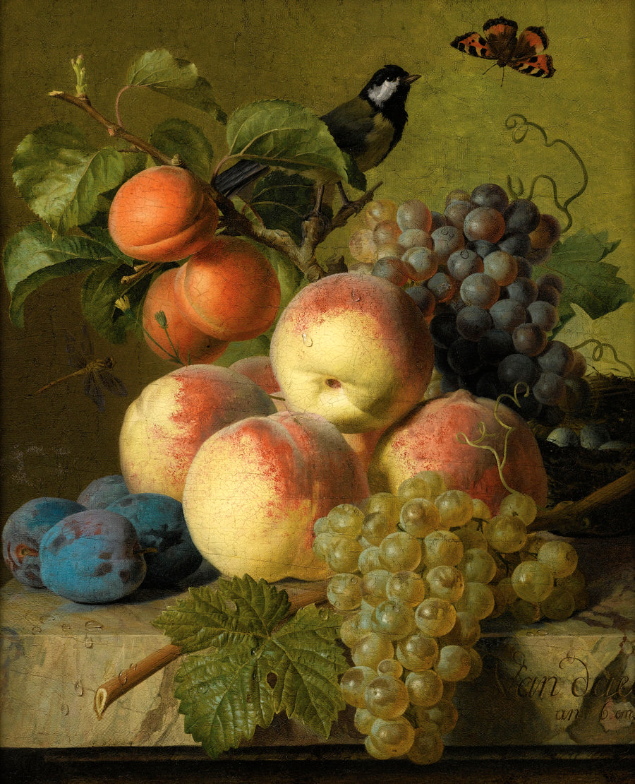 Still Life Of Peaches Grapes And Plums On A Stone Ledge With A Bird And Butterfly, vintage artwork by Jan Frans van Dael, 12x8" (A4) Poster