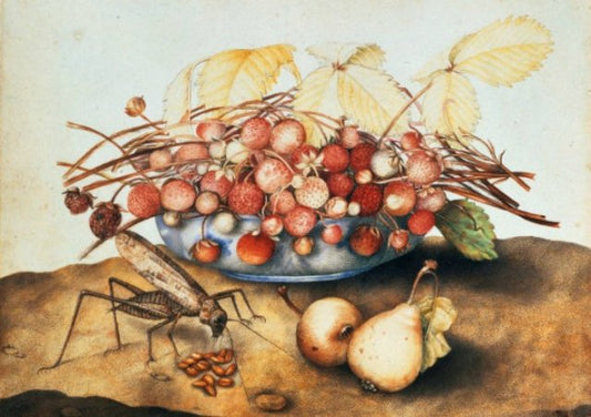 Bowl of Strawberries, Pears and a Grasshopper, vintage artwork by Giovanna Garzoni, 12x8" (A4) Poster