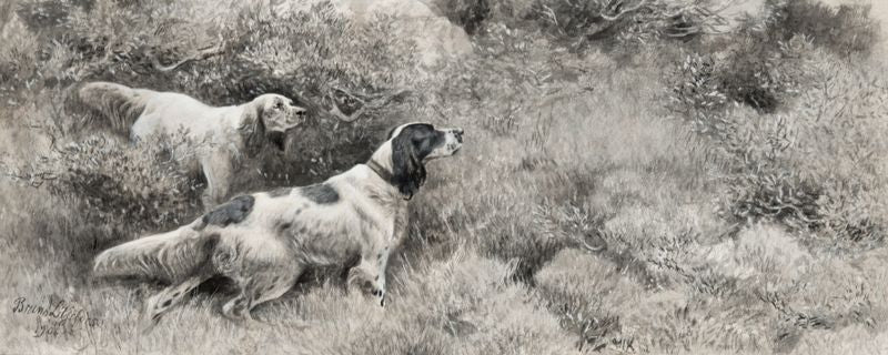 English Setters Standing Partridges, vintage artwork by Bruno Liljefors, 12x8" (A4) Poster