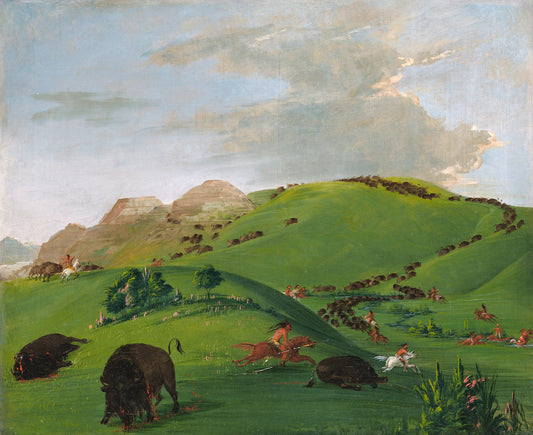Buffalo Chase, Mouth of the Yellowstone, vintage artwork by George Catlin, A3 (16x12") Poster Print