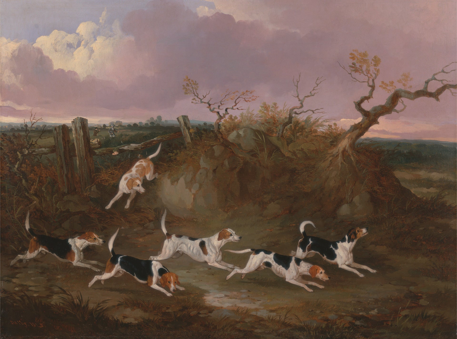 Beagles in Full Cry, vintage artwork by John Dalby , A3 (16x12") Poster Print