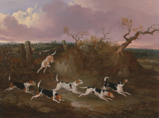 Beagles in Full Cry, vintage artwork by John Dalby , A3 (16x12") Poster Print