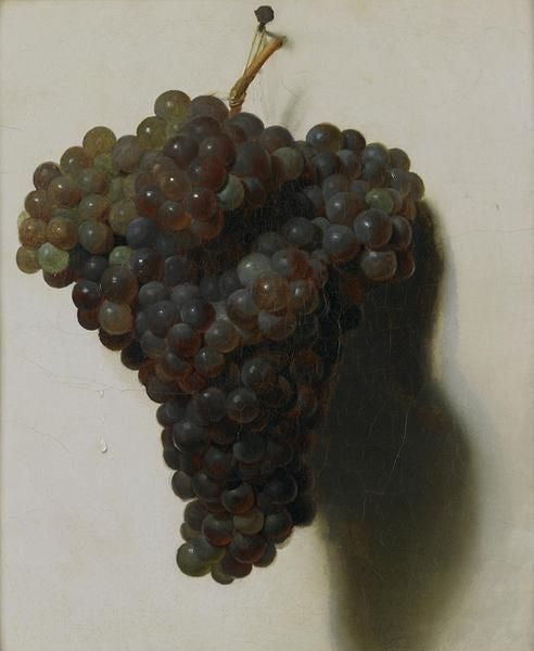 Black Grapes, vintage artwork by Louis-Leopold Boilly, 12x8" (A4) Poster