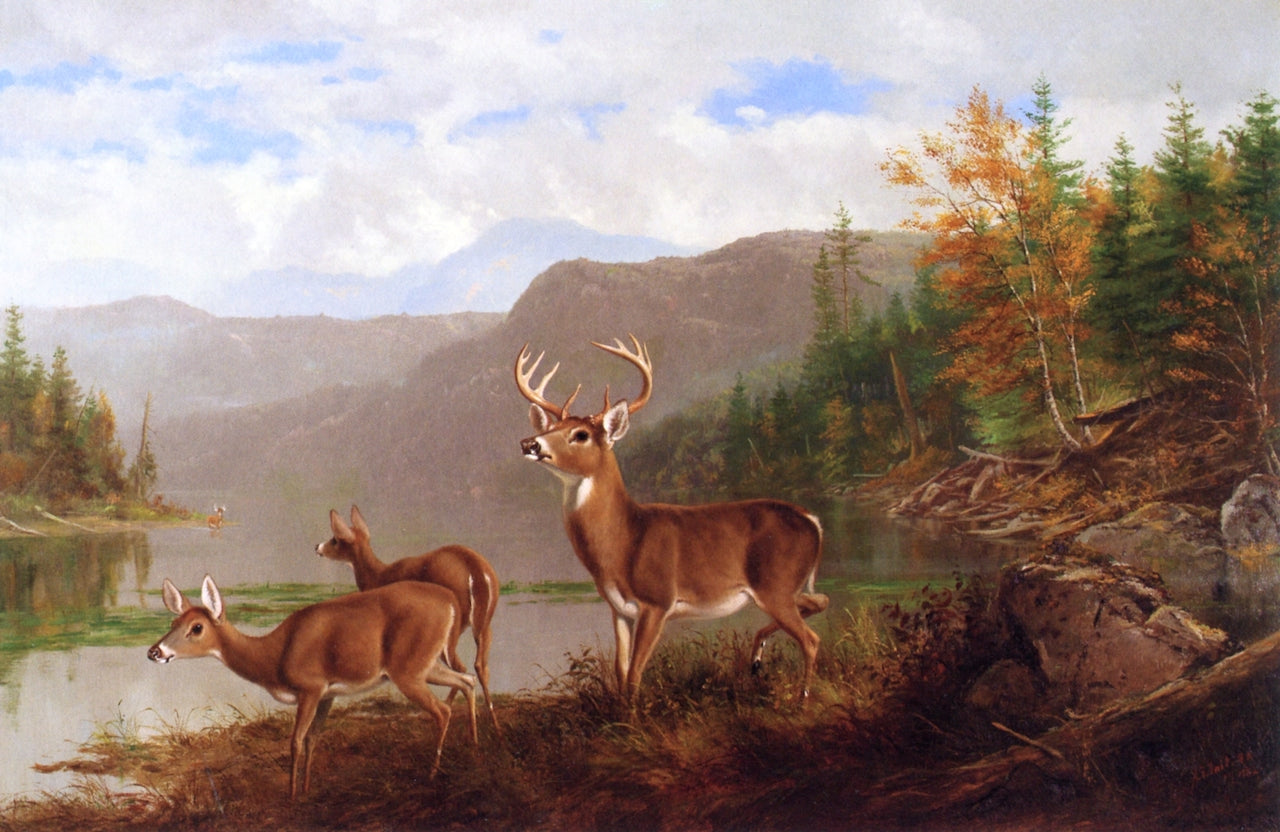 Adirondacks: October, vintage artwork by Arthur Fitzwilliam Tait, A3 (16x12") Poster Print