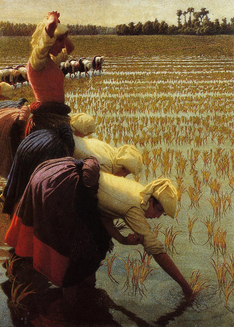 In the Rice Fields, vintage artwork by Angelo Morbelli, 12x8" (A4) Poster