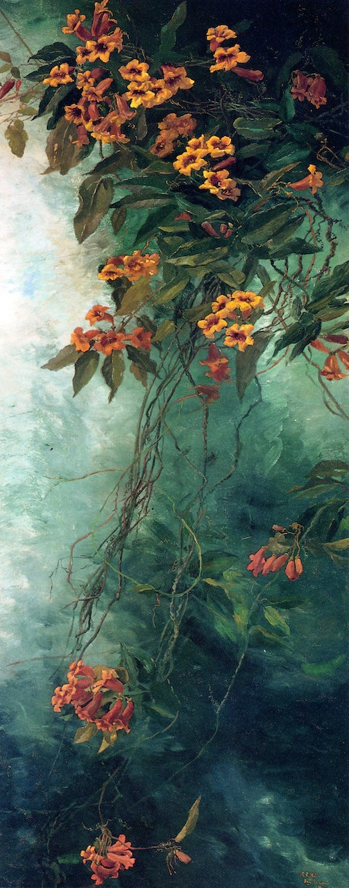Trumpet Creeper by Abby Williams Hill,A3(16x12")Poster