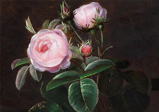 Pink roses, vintage artwork by Johan Laurentz (J.L.) Jensen, A3 (16x12") Poster Print