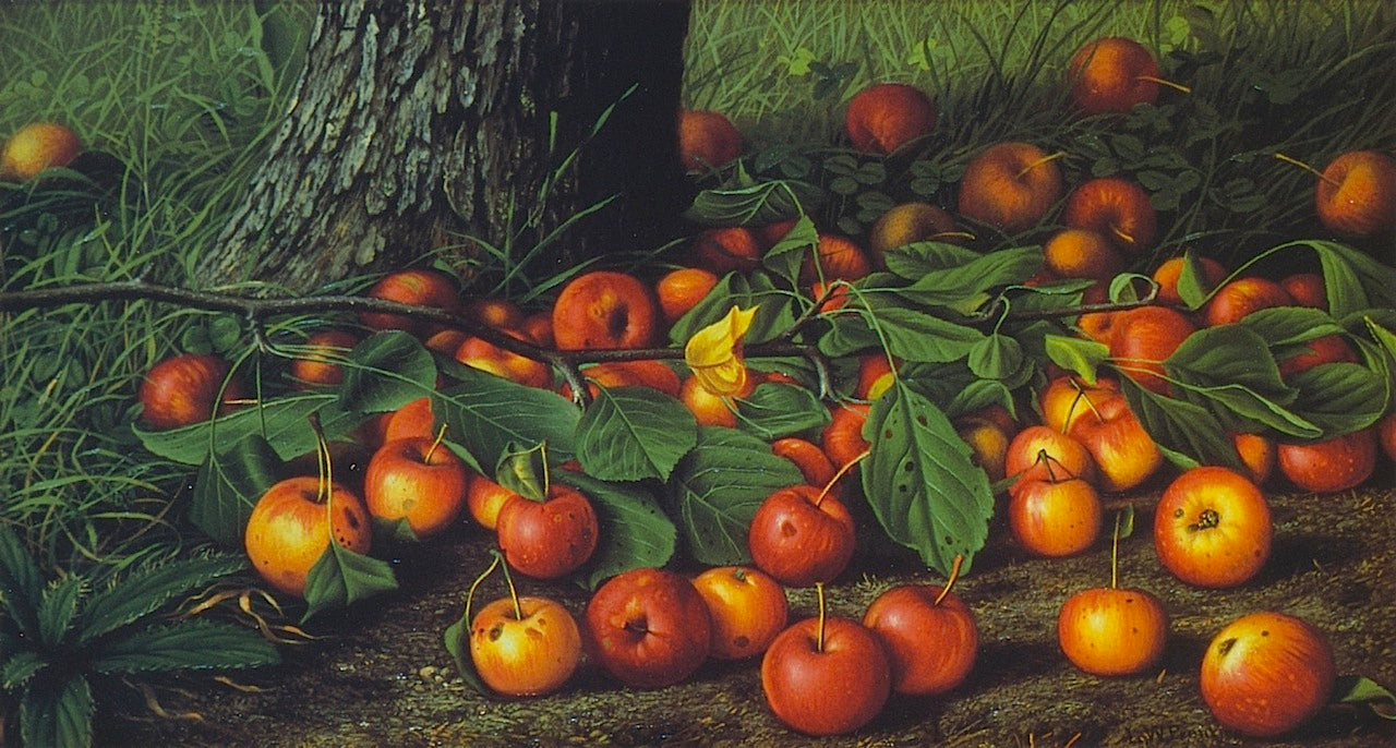 An Abundance of Apples, vintage artwork by Levi Wells Prentice, 12x8" (A4) Poster