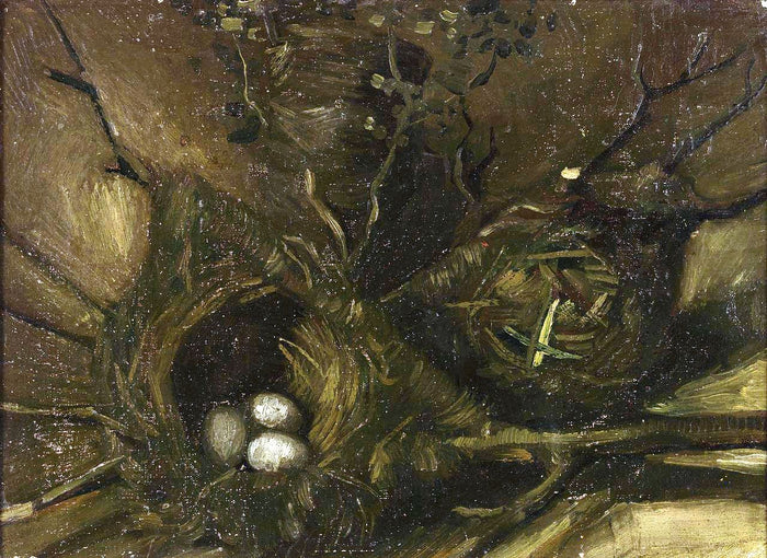 Birds' Nests, vintage artwork by Vincent van Gogh, 12x8