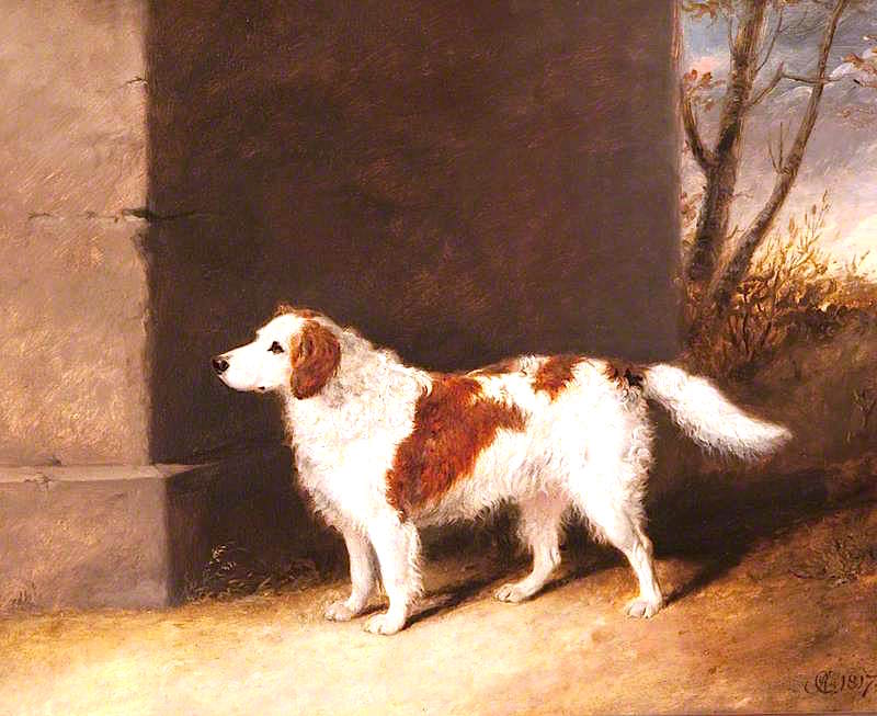 The Favourite Dog of Lord Charles Vere Ferrers Townshend, vintage artwork by Abraham Cooper, 12x8" (A4) Poster
