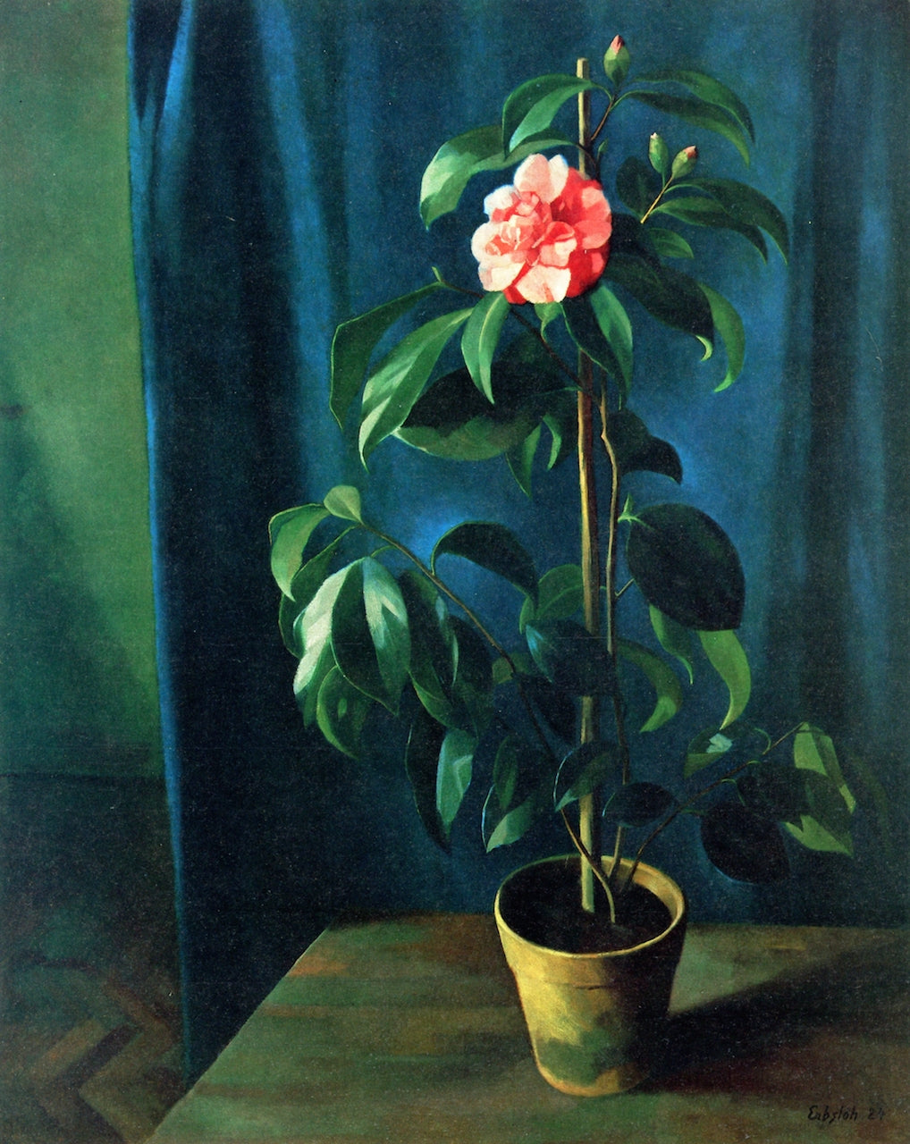 Camellia, vintage artwork by Adolf Erbslöh, 12x8" (A4) Poster