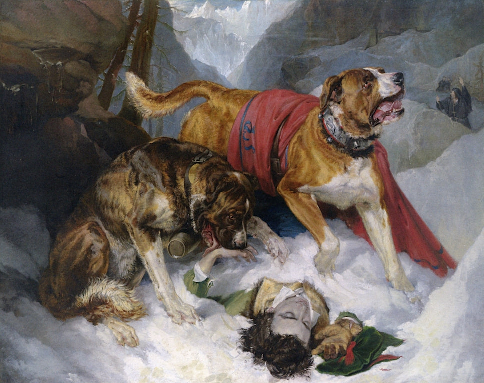 Alpine Mastiffs Reanimating a Distresses Traveller, vintage artwork by Sir Edwin Landseer, A3 (16x12") Poster Print