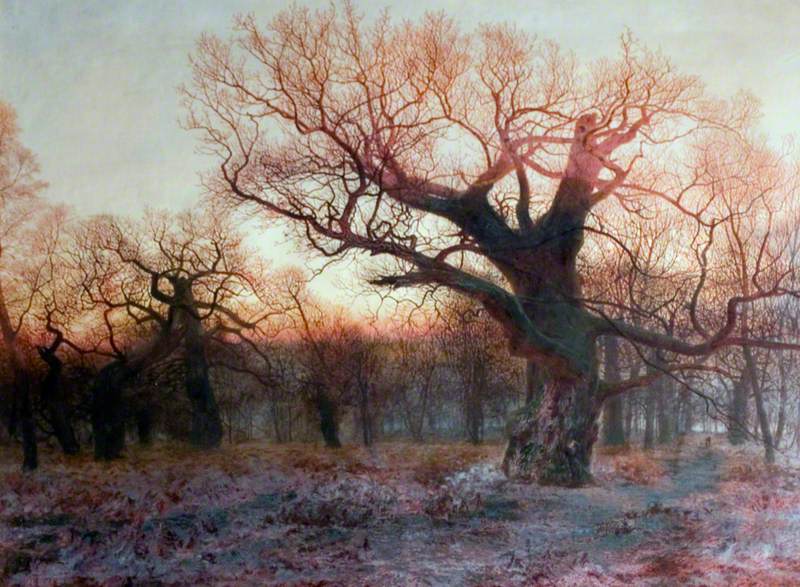 In Sherwood Forest, Nottinghamshire: Winter Evening after Rain, vintage artwork by Andrew McCallum, A3 (16x12") Poster Print