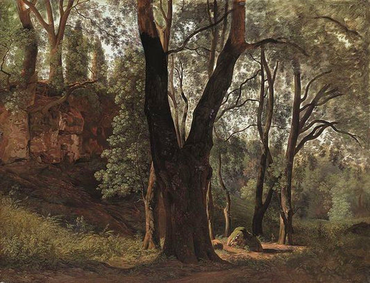 Forest Interior, vintage artwork by Johann Martin von Rohden, 12x8" (A4) Poster