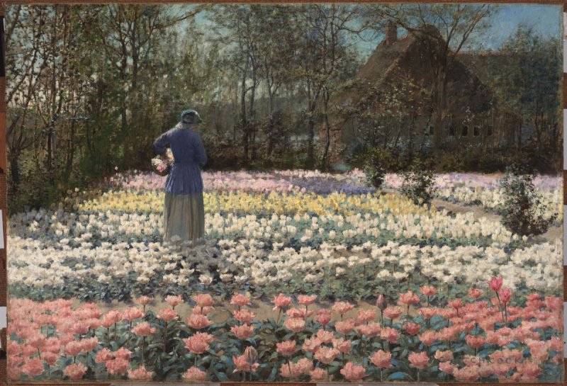 Tulip Culture, vintage artwork by George Hitchcock, 12x8" (A4) Poster