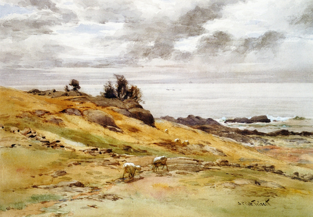 Sheep Grazing, Monhegan Island, vintage artwork by Samuel P. R. Triscott, 12x8" (A4) Poster
