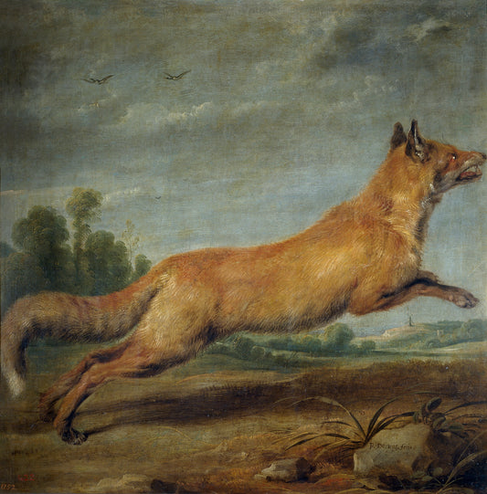 A Running Fox, vintage artwork by Paul de Vos, 12x8" (A4) Poster