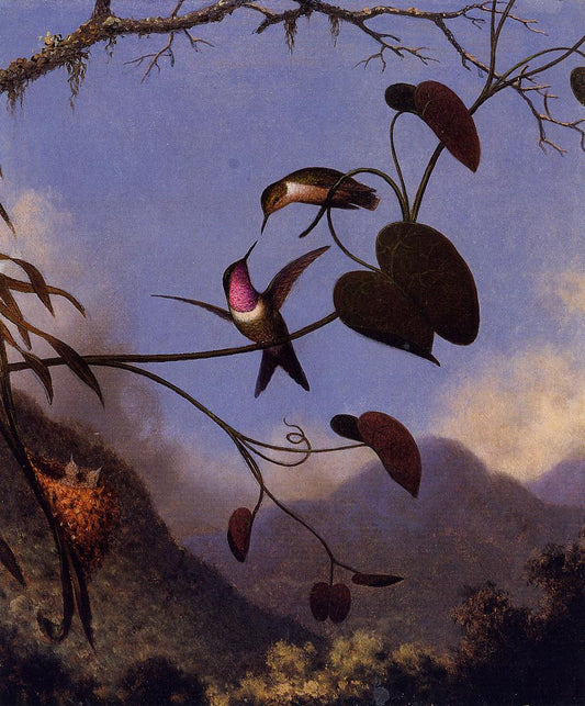 Amethyst Woodstar, vintage artwork by Martin Johnson Heade, A3 (16x12") Poster Print