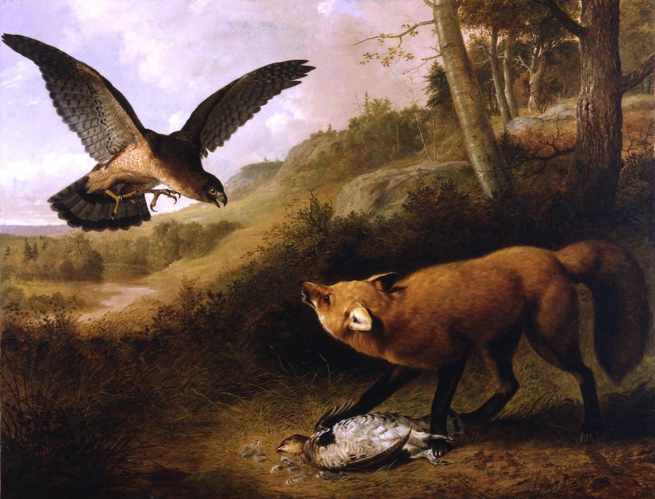 Disputed Game, vintage artwork by Thomas Hewes Hinckley, A3 (16x12") Poster Print