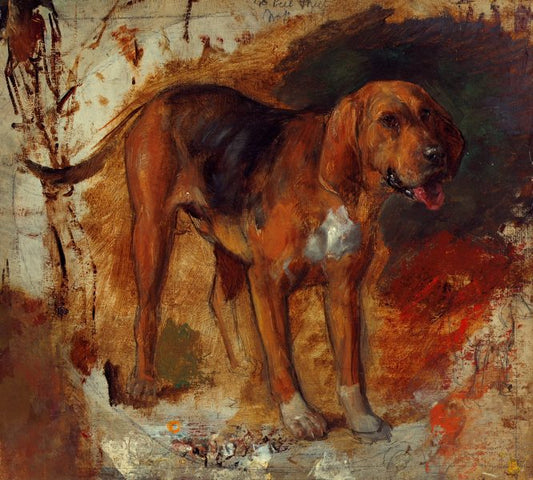 Study of a bloodhound, vintage artwork by William Holman Hunt, 12x8" (A4) Poster