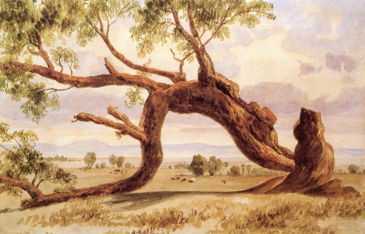 Árbol caído, vintage artwork by Jose María Velasco, 12x8" (A4) Poster