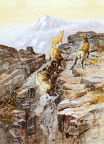 Big Horn Sheep, vintage artwork by Charles Marion Russell, 12x8" (A4) Poster