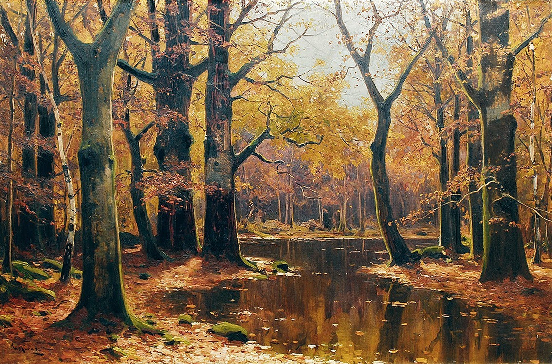Forest landscape with pond by Walter Moras,A3(16x12")Poster