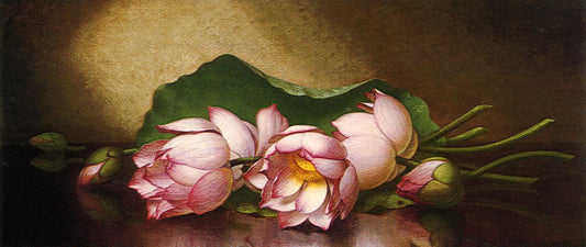 Egyptian Lotus Blossom, vintage artwork by Martin Johnson Heade, A3 (16x12") Poster Print