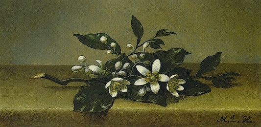 Branch of Orange Blossoms, vintage artwork by Martin Johnson Heade, A3 (16x12") Poster Print