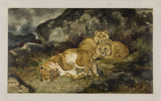 Lioness and Cubs, vintage artwork by Antoine-Louis Barye, A3 (16x12") Poster Print