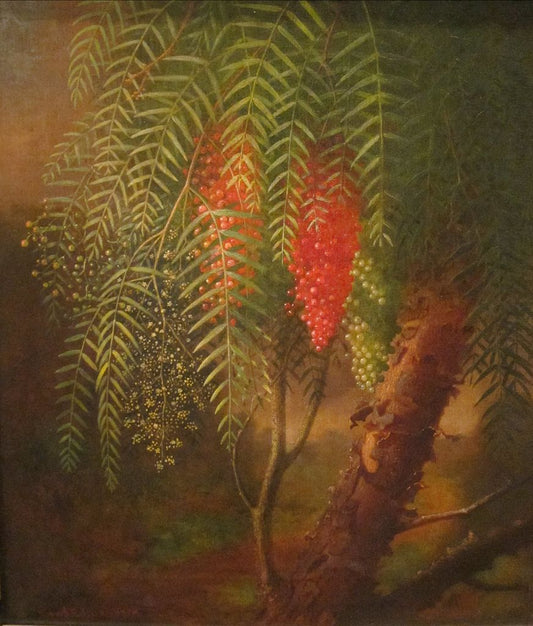 California Pepper Tree, vintage artwork by Edward Edmondson, 12x8" (A4) Poster