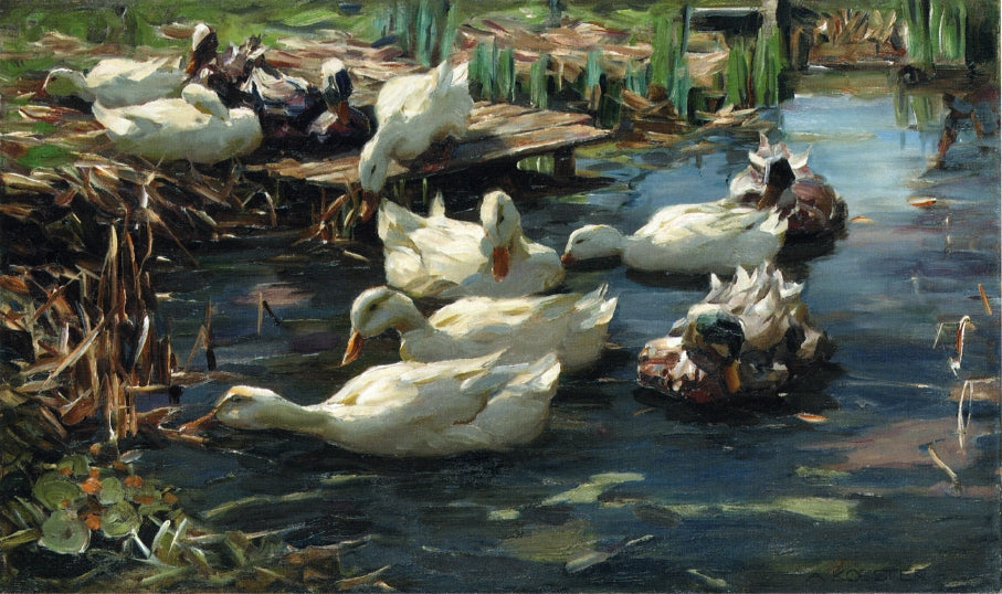 Ducks in a Quiet Pool, vintage artwork by Alexander Koester, 12x8" (A4) Poster