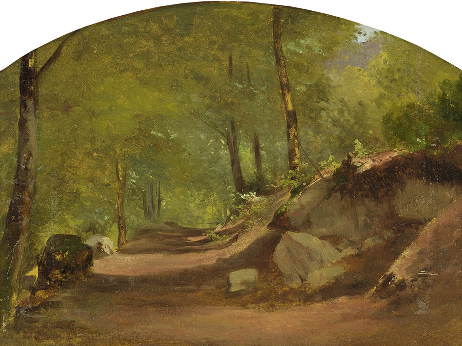 Sun Drenched Forest Path, vintage artwork by Alexandre Calame, A3 (16x12") Poster Print
