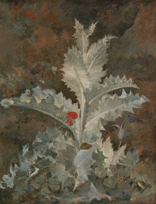 A Thistle, vintage artwork by John Crome, 12x8" (A4) Poster
