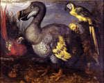 Edward's Dodo, vintage artwork by Roelant Savery, A3 (16x12") Poster Print