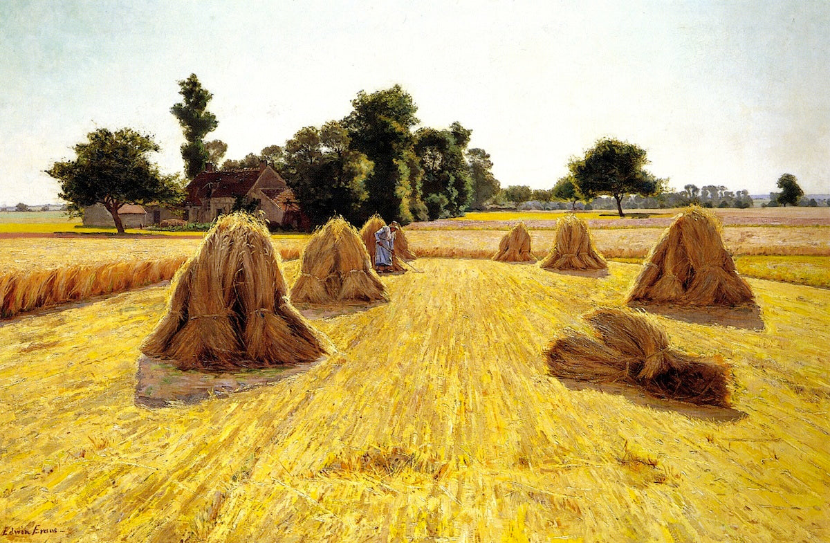 Grain Fields by Edwin Evans,A3(16x12")Poster