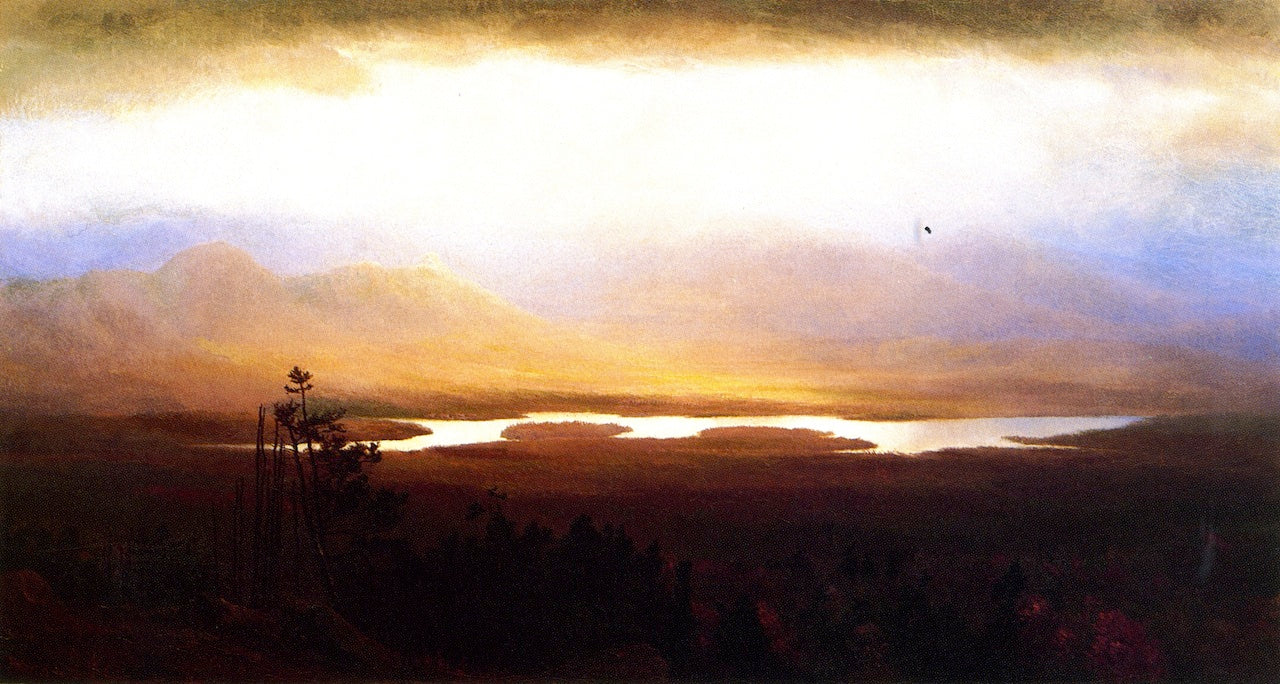Mountain View on the Saranac, vintage artwork by Homer Dodge Martin, 12x8" (A4) Poster