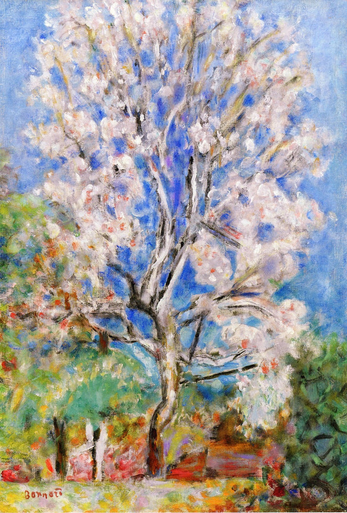 Almond Tree by Pierre Bonnard,A3(16x12