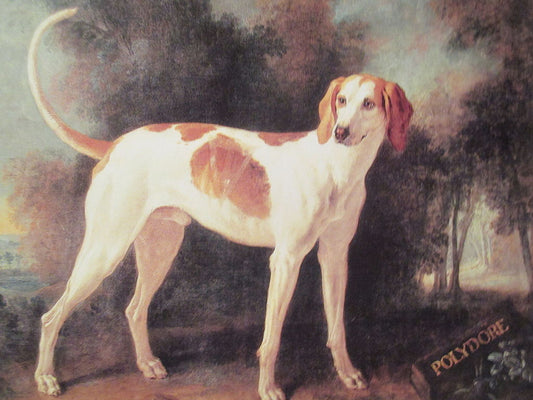Polydore, Dog of Louis XV, vintage artwork by Jean-Baptiste Oudry, 12x8" (A4) Poster