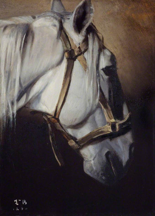 Head of a White Horse, vintage artwork by Leon Joseph Florentin Bonnat, 12x8" (A4) Poster