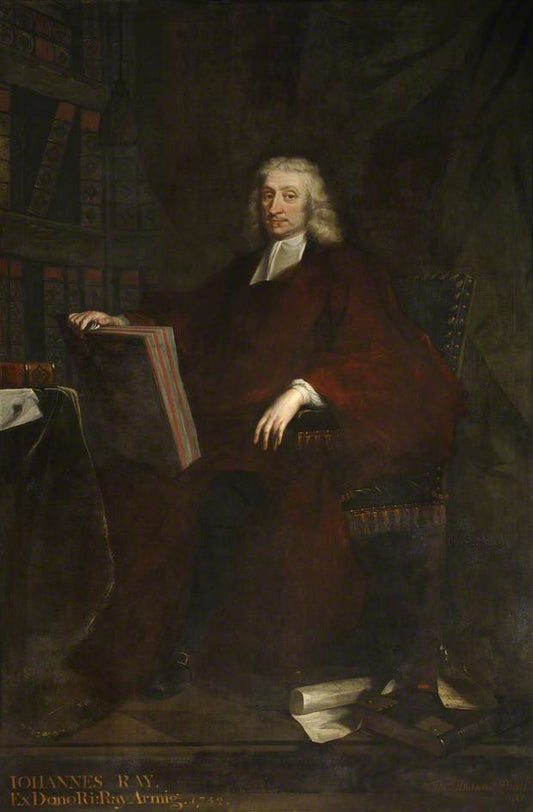 John Ray, Naturalist and Theologian, vintage artwork by Thomas Hudson, 12x8" (A4) Poster
