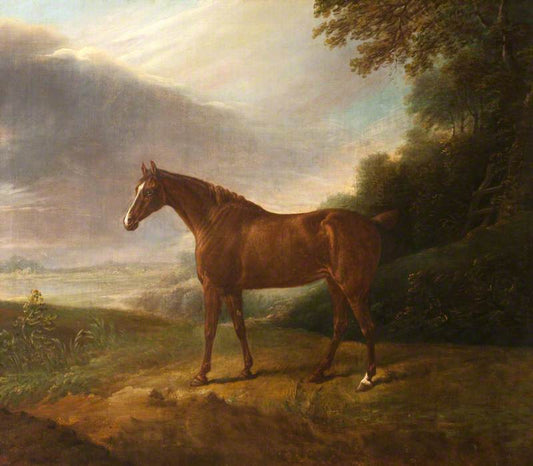 A Horse called White Sorrel in a Landscape, vintage artwork by British School 19th Century - Unknown, A3 (16x12") Poster Print