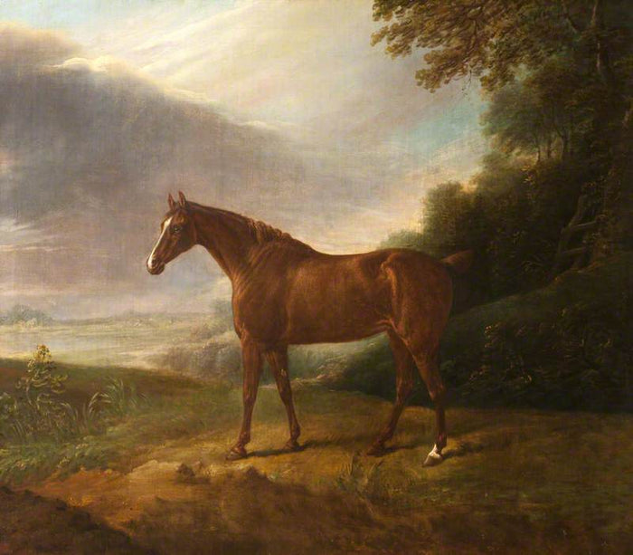 A Horse called White Sorrel in a Landscape, vintage artwork by British School 19th Century - Unknown, A3 (16x12