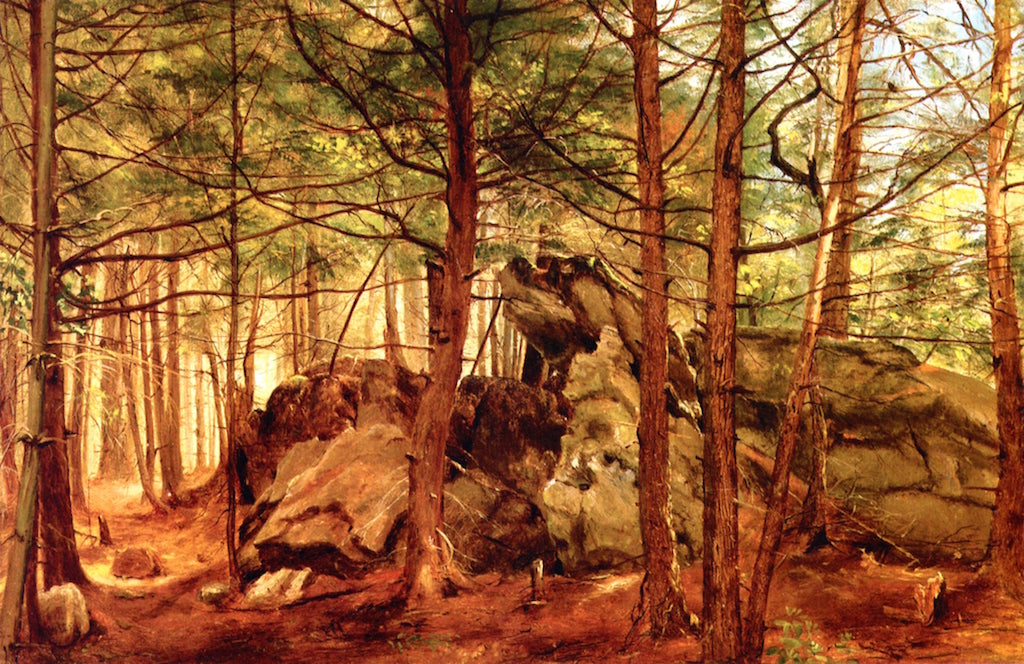 Study in a Hemlock Wood, vintage artwork by Jervis McEntee, 12x8" (A4) Poster