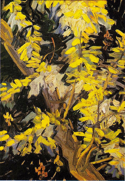 Acacia in Flower by Vincent van Gogh,A3(16x12")Poster