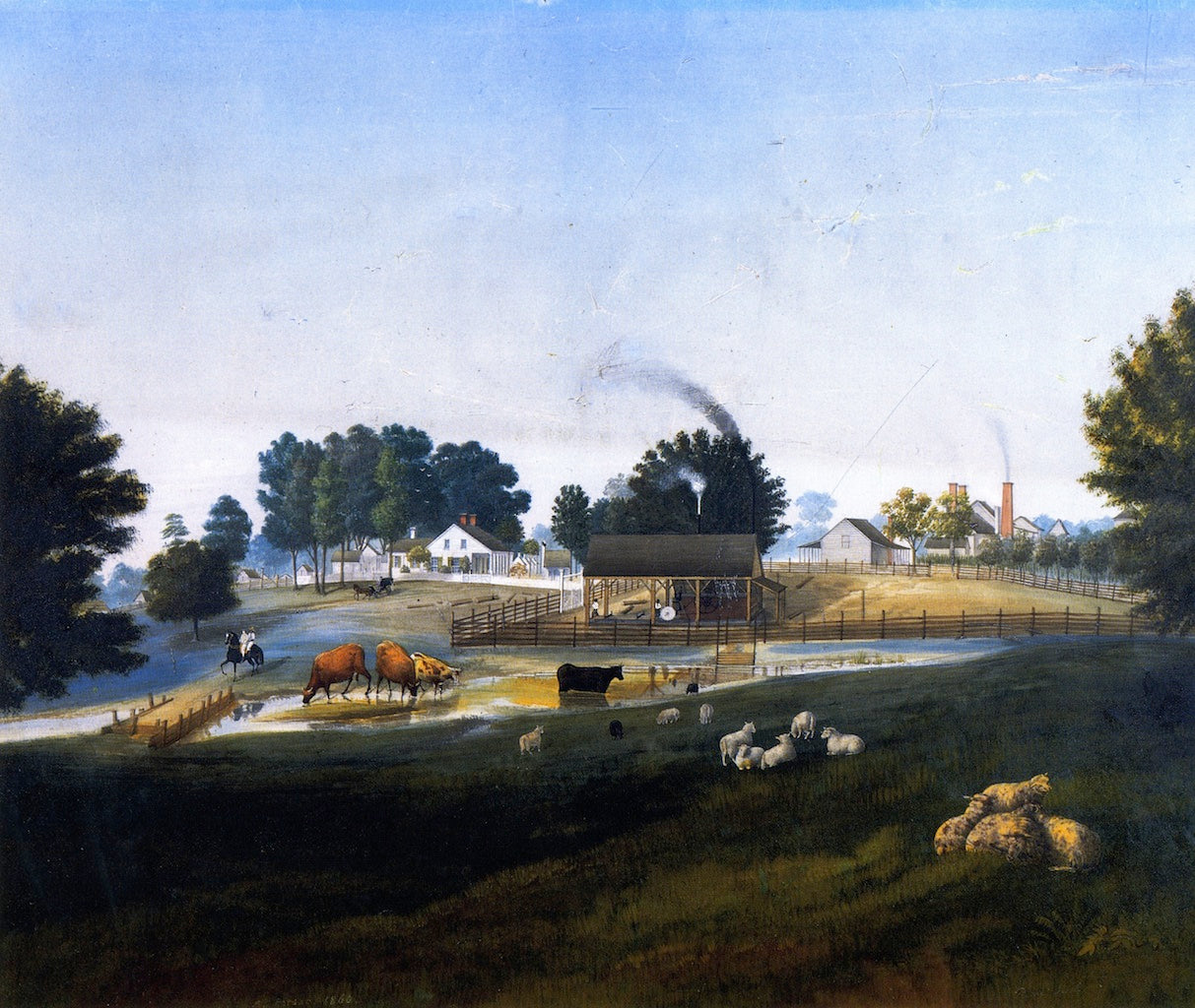 Prarie Sorrel, vintage artwork by Marie Adrien Persac, 12x8" (A4) Poster