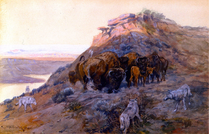 Buffalo Herd at Bay by Charles Marion Russell,A3(16x12